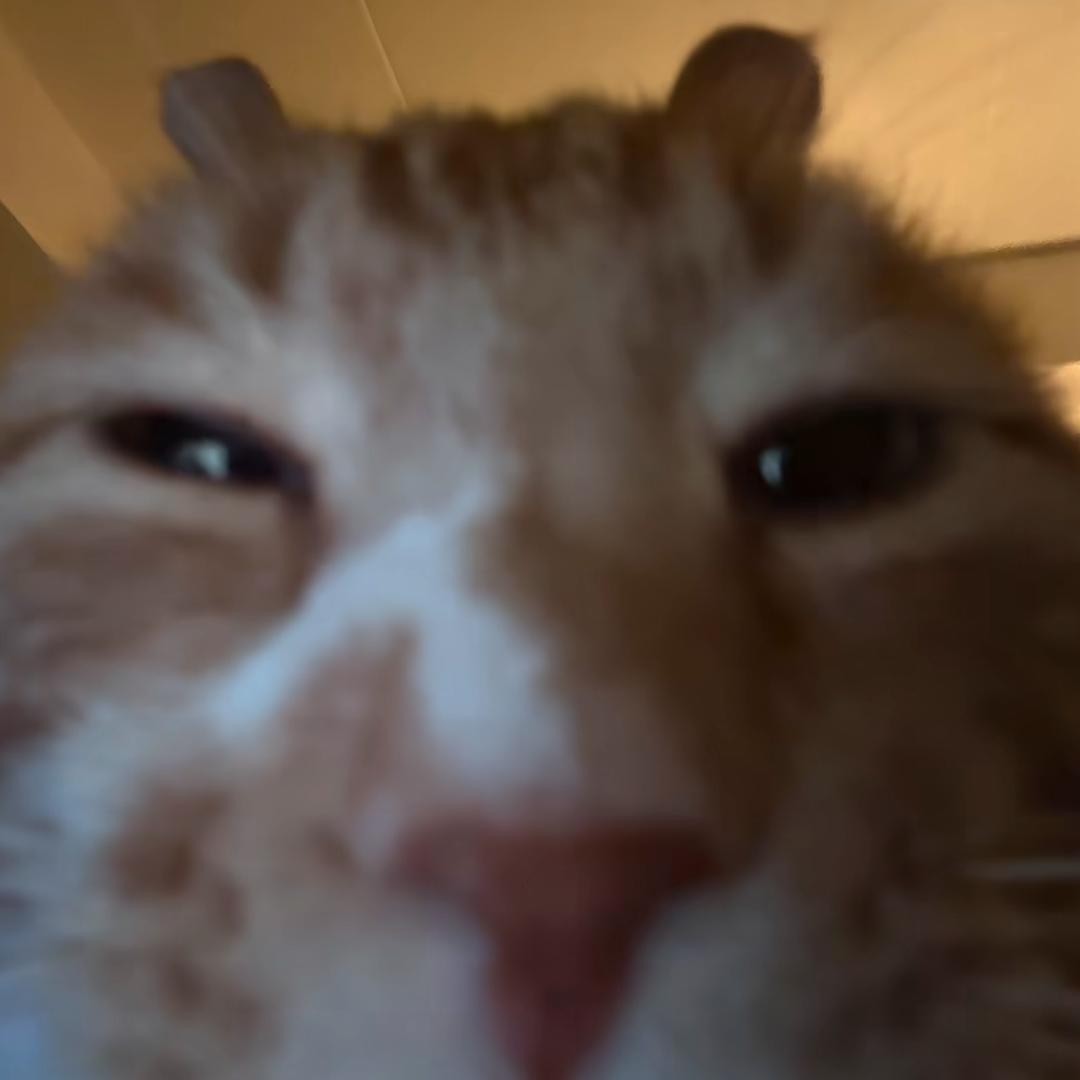 ㅤㅤ你别皱眉 ㅤ