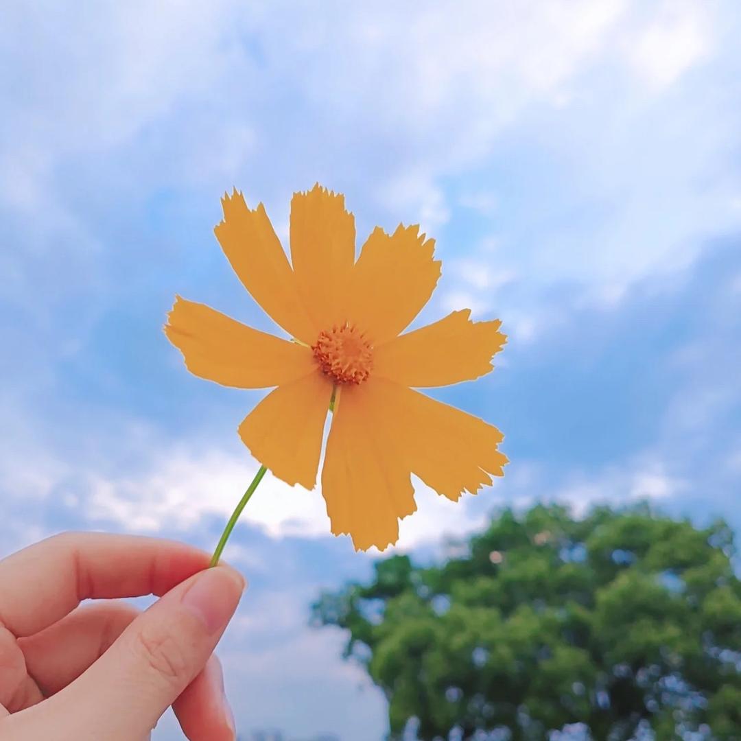 小幸运🌼