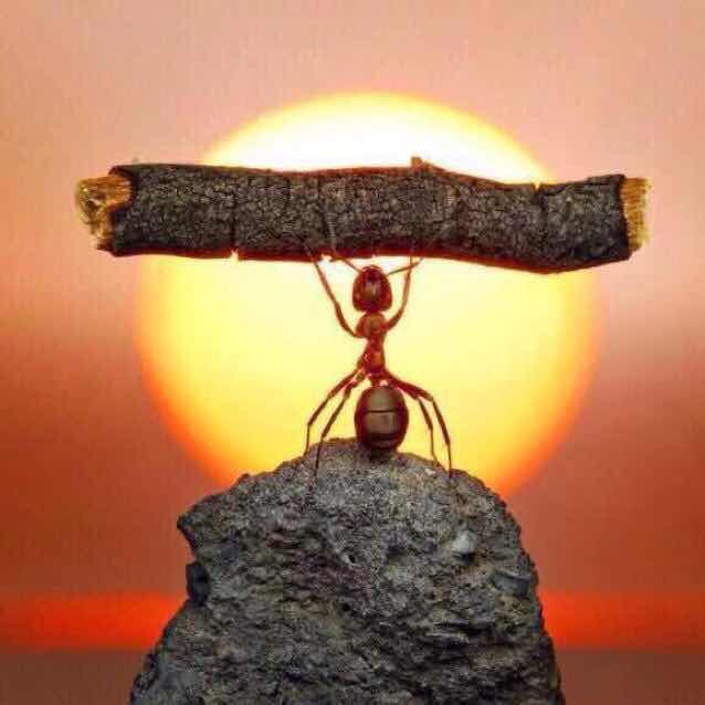 阿弟五金商行