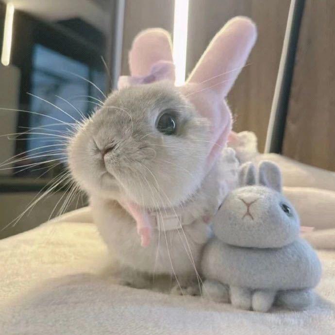 R .