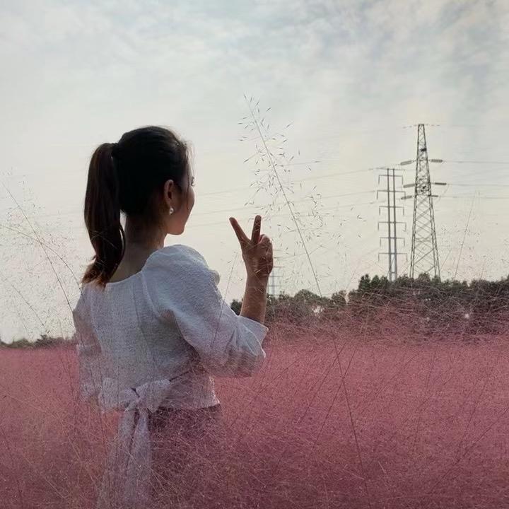辰辰🌻
