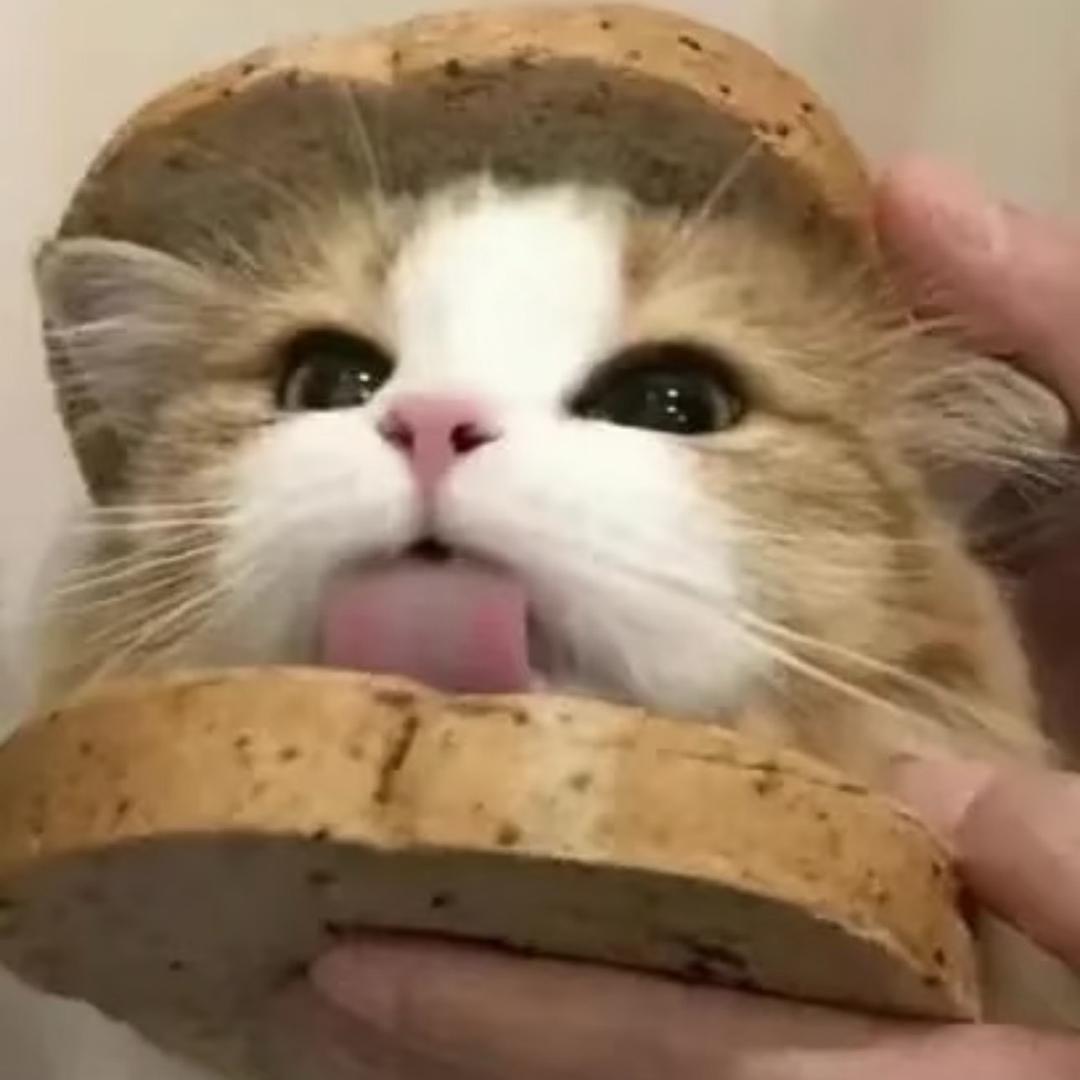 禄.