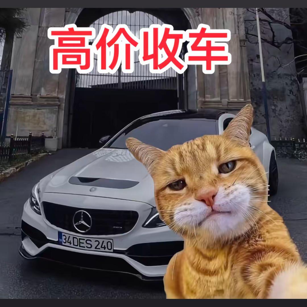安仔不懂车🚗精品二手