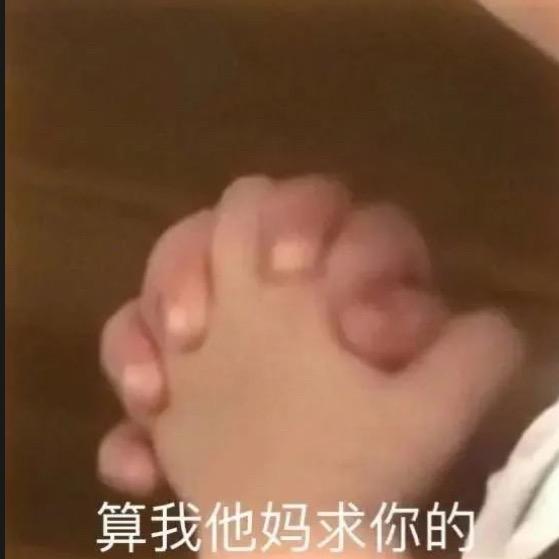 Snow（想涨粉版）