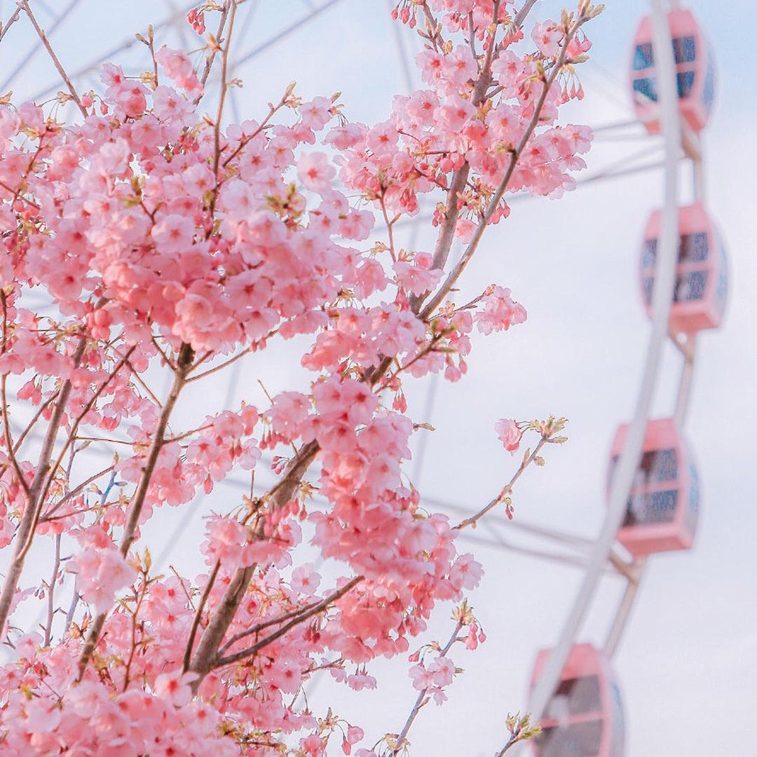 那年，遗失的美好