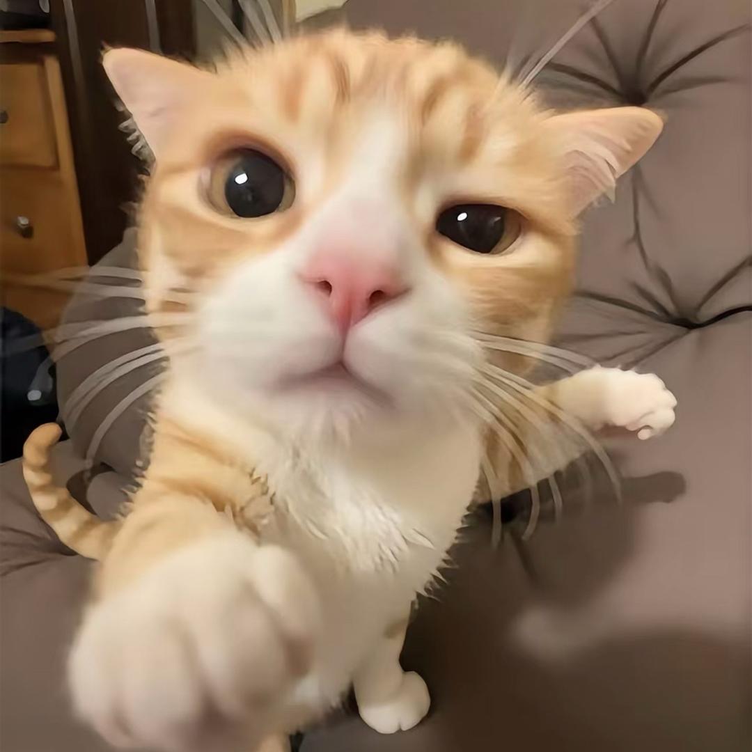 香香优选好物店