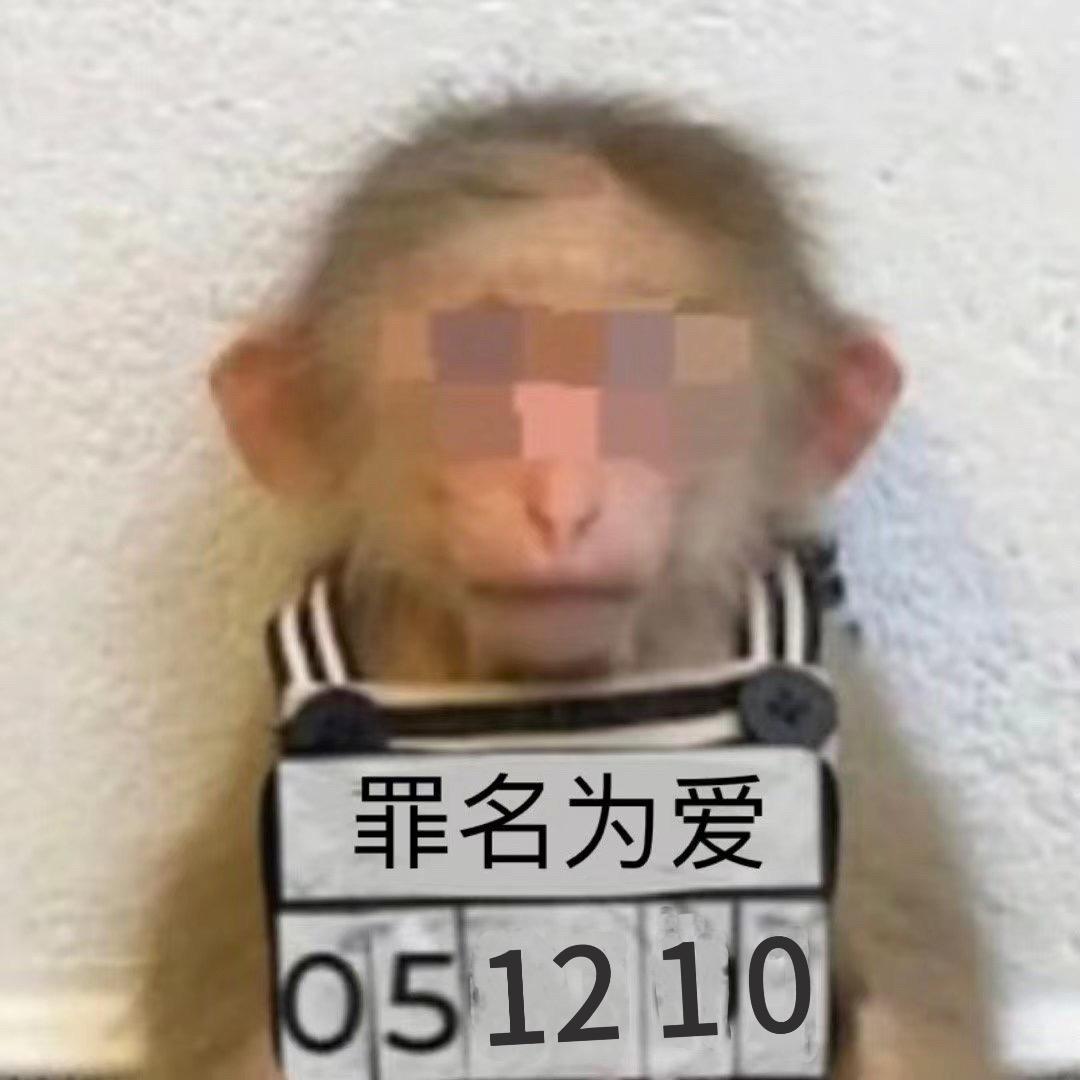 葬葬包