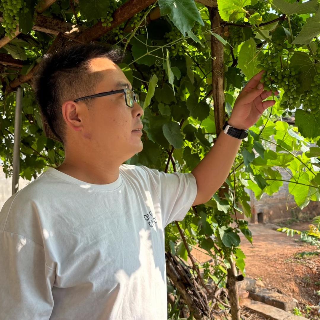 小懒的农家生活