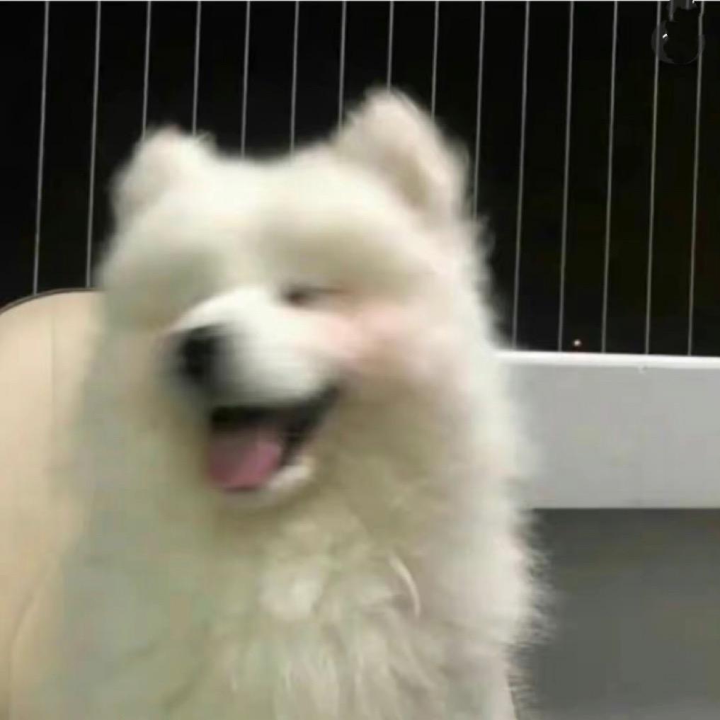 小栓Q