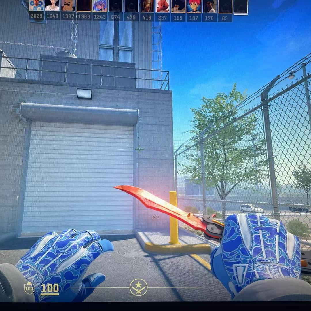 平台皮肤包（主页同款