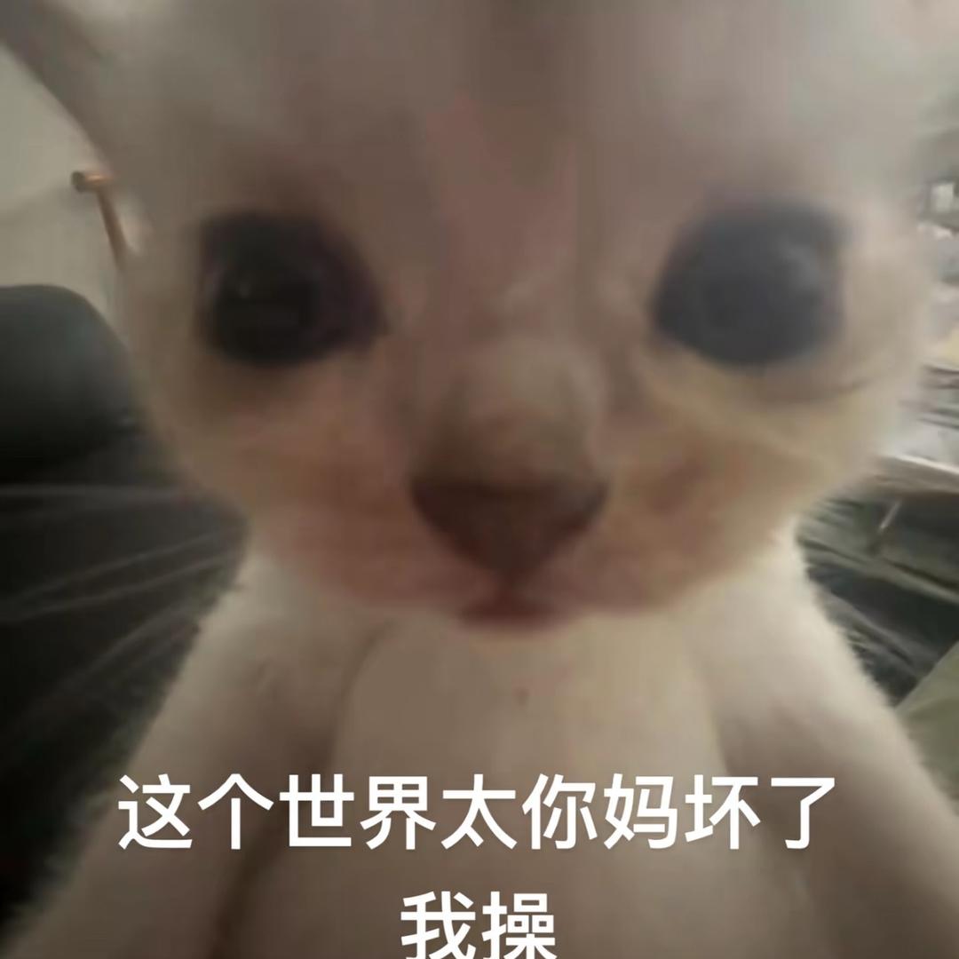 半夜去偷面包