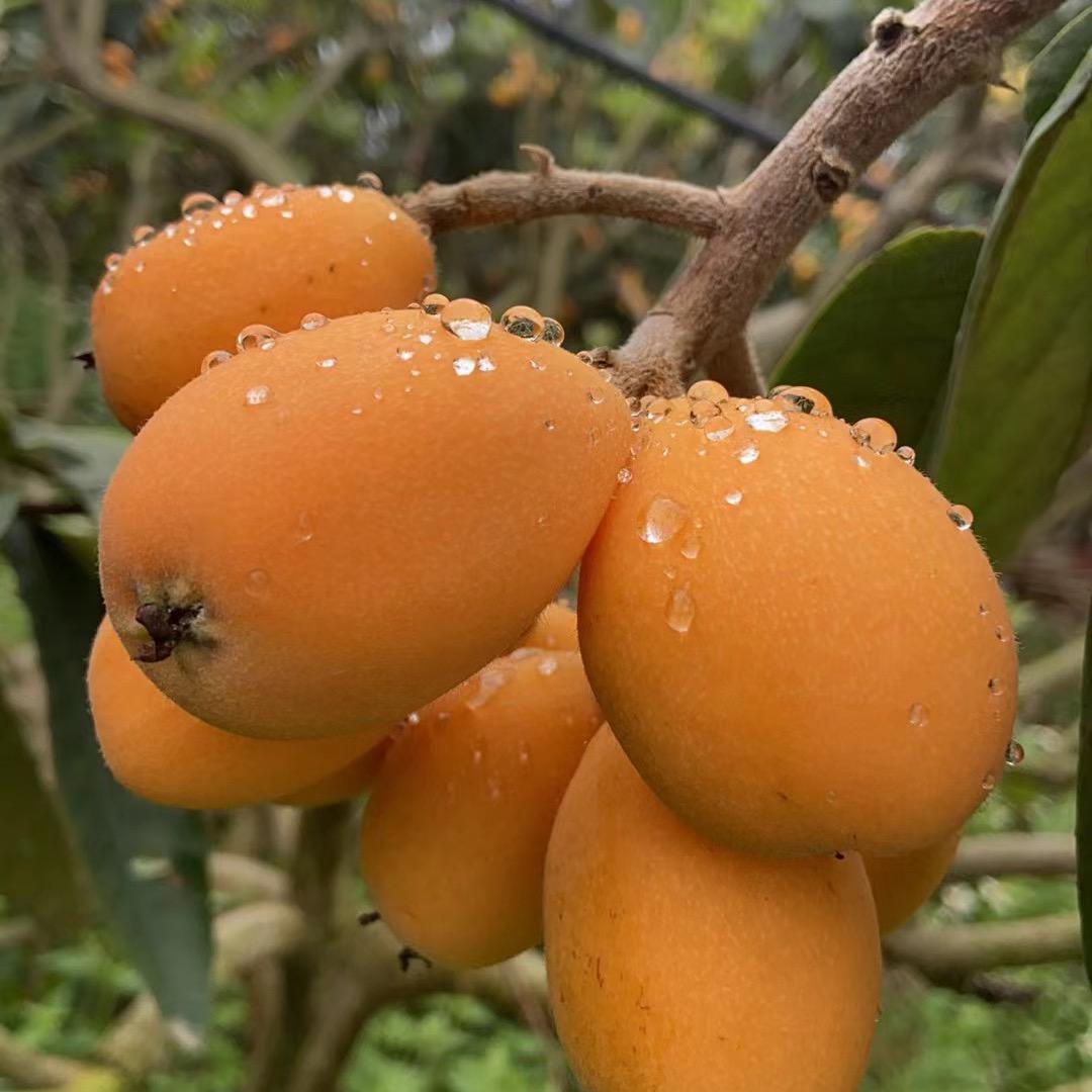 露过风雨见彩虹🌈