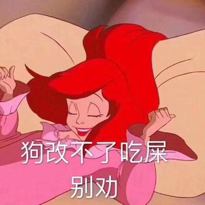 zzzz🧚‍♀️