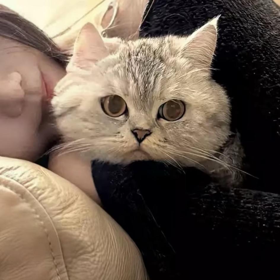 毛毛宇宙无敌超级可爱大美女