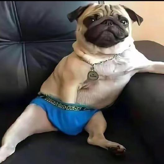 牛牛的牛啊