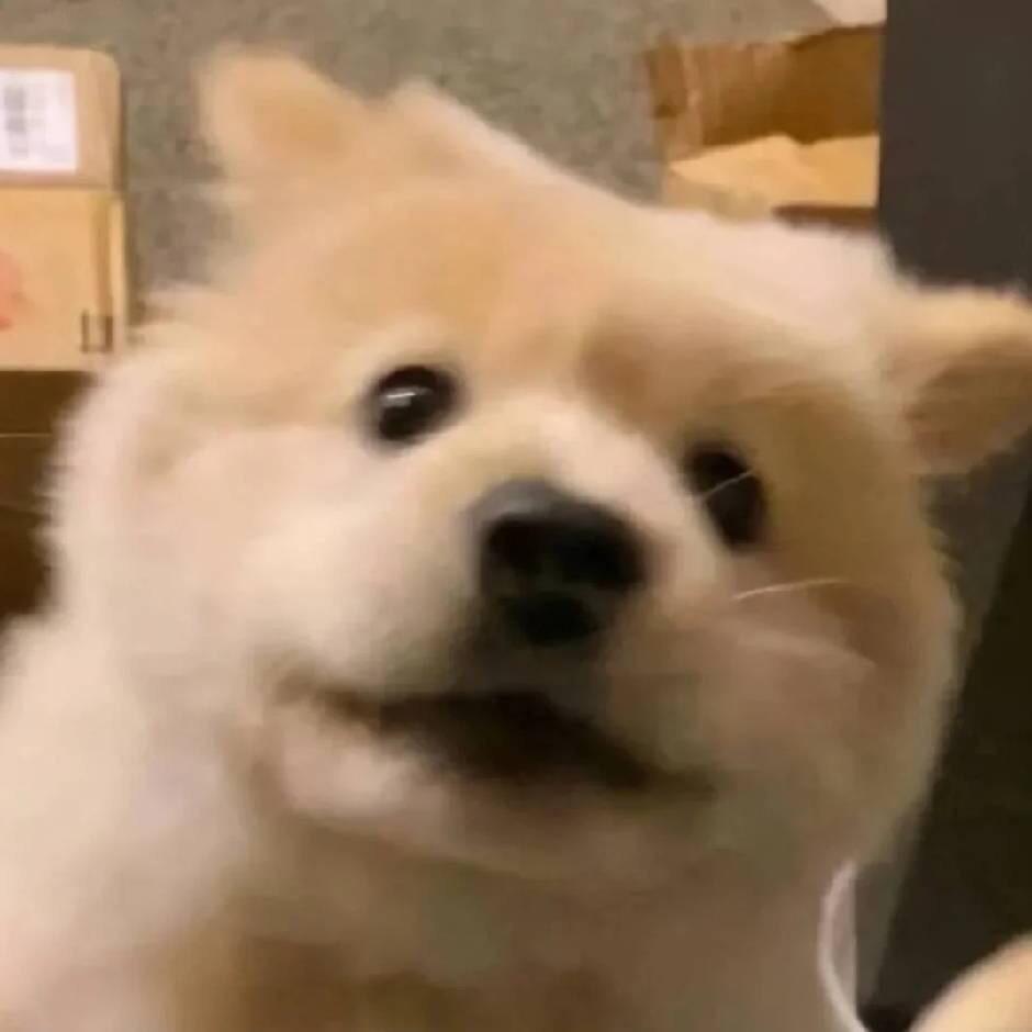 木子李#及时行乐