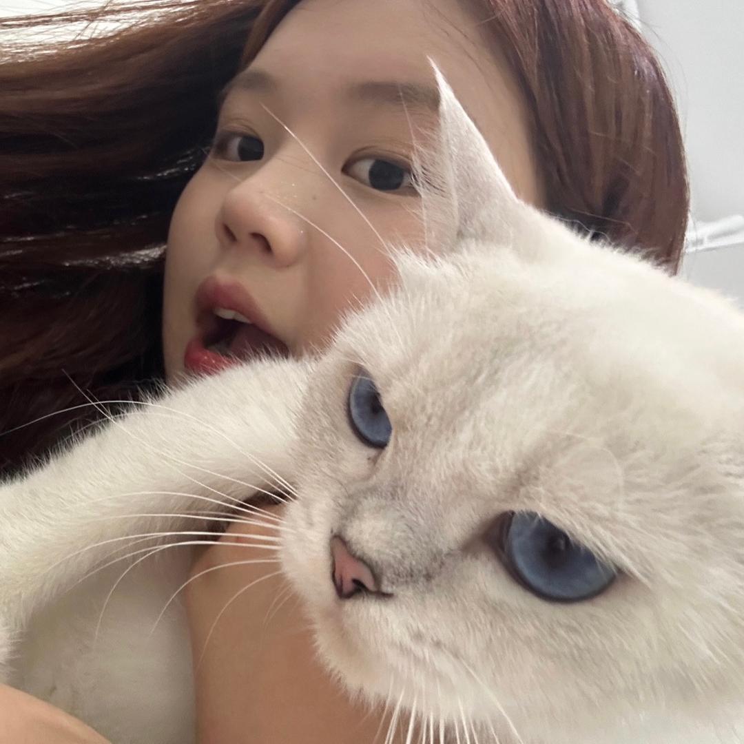 潘潘在这