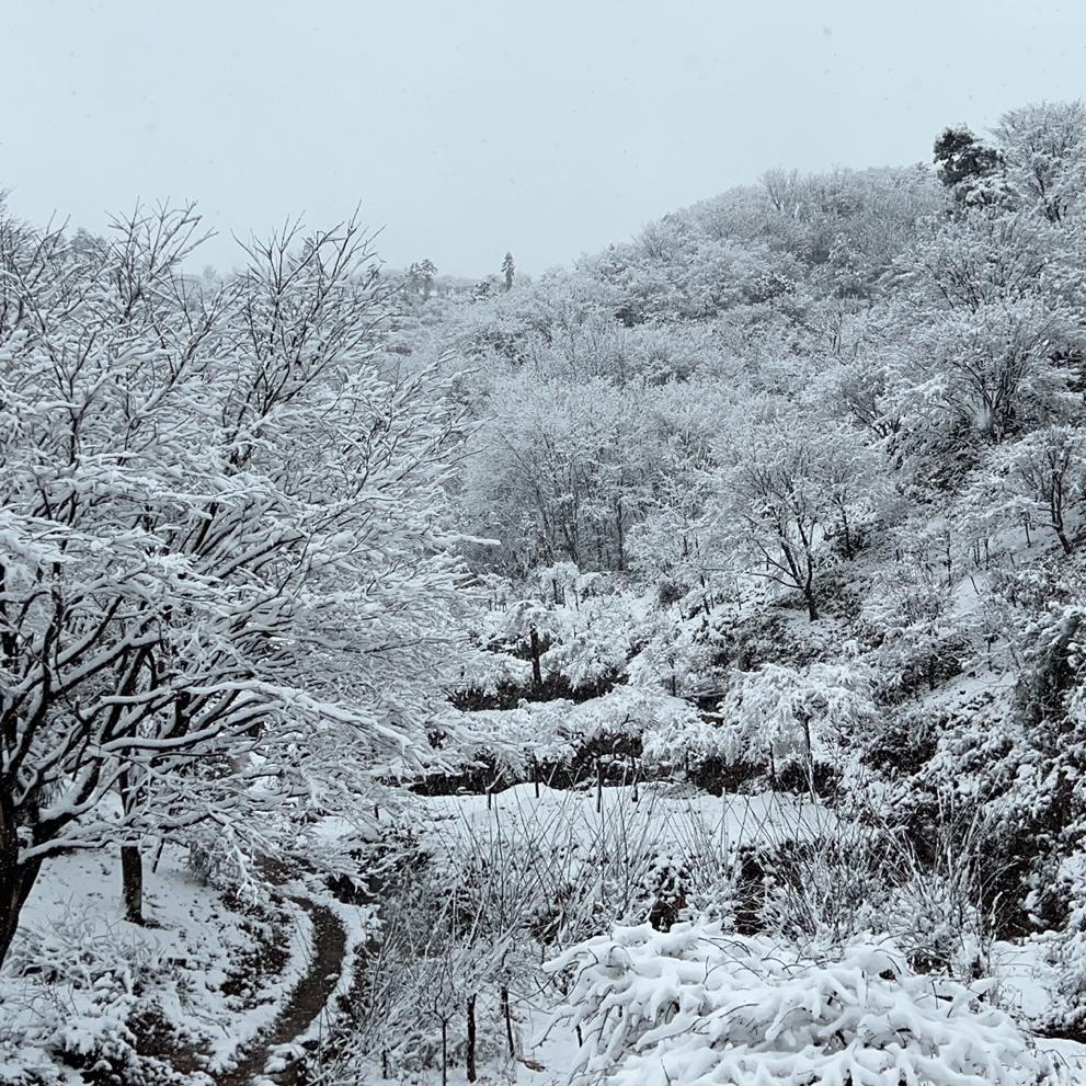 踏雪小剧场