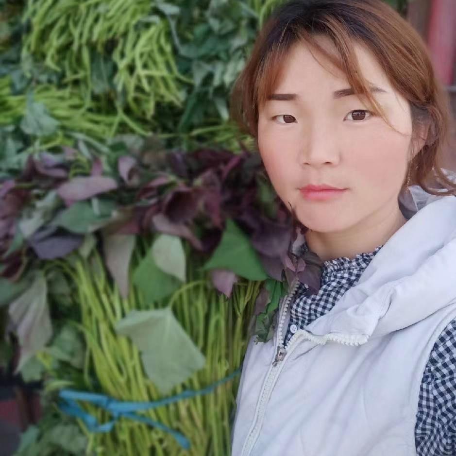 小朱批发红薯苗