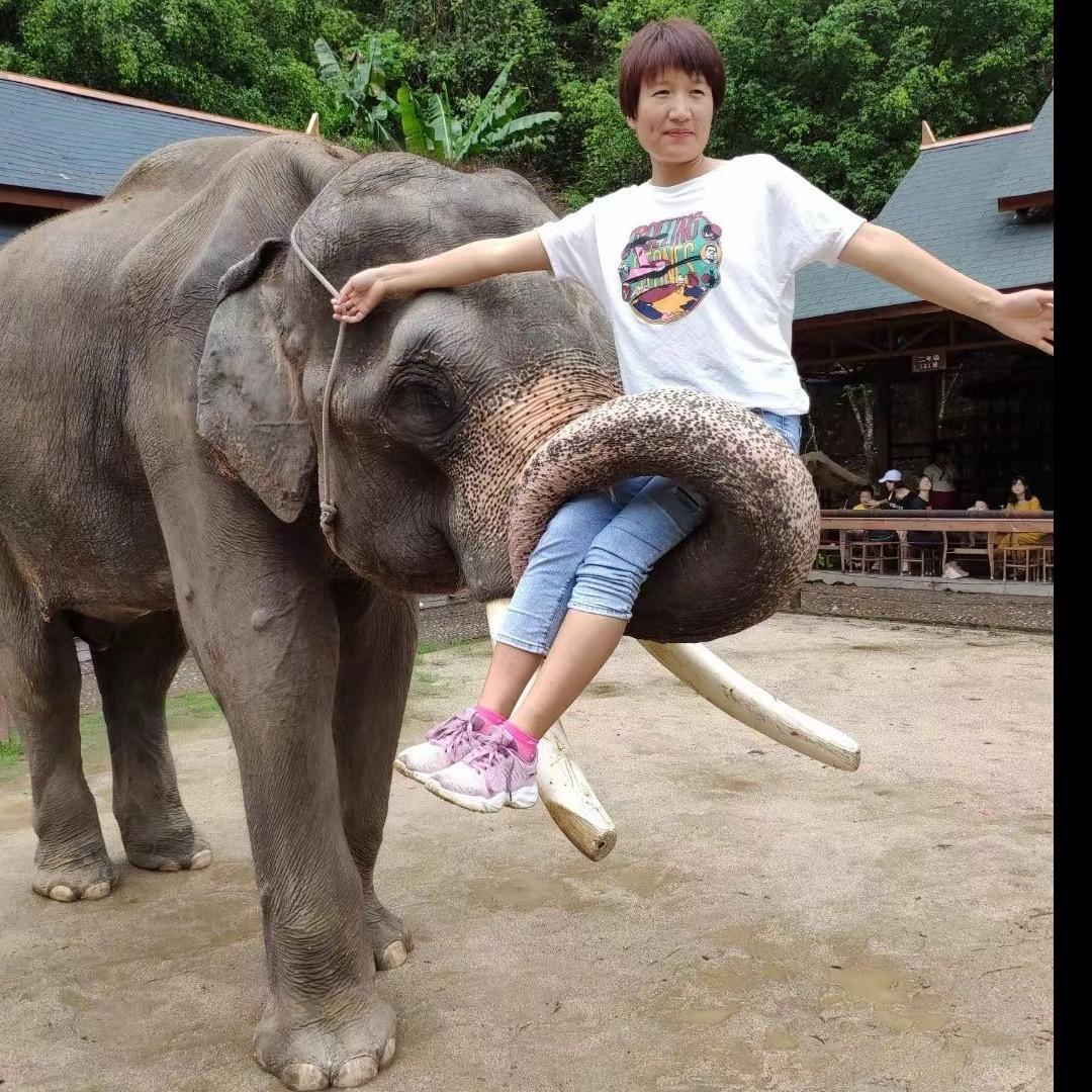 糊涂的笑