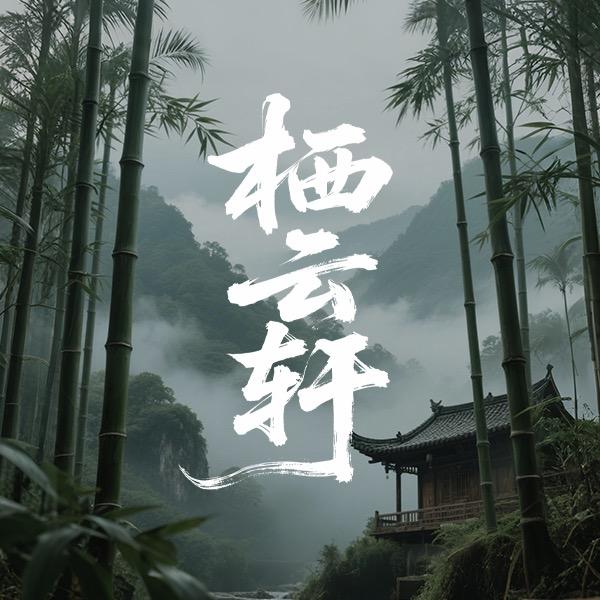 栖云轩电竞
