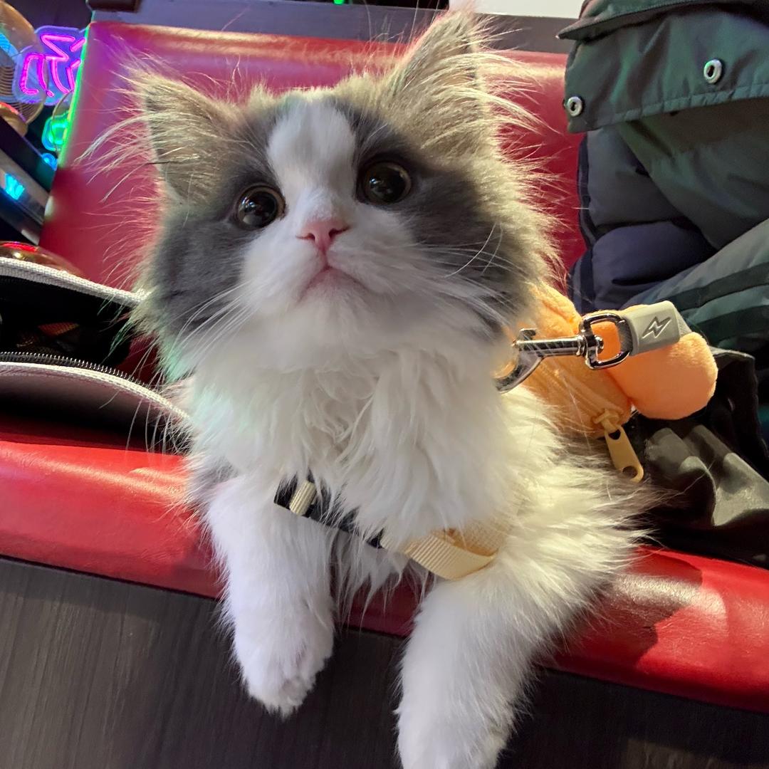 哈？？
