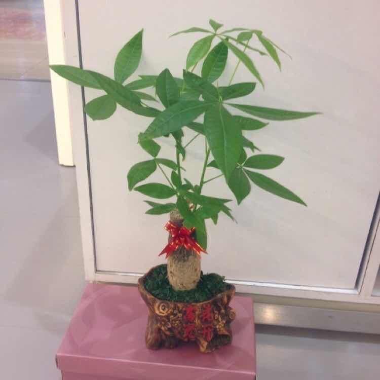 香满意百货