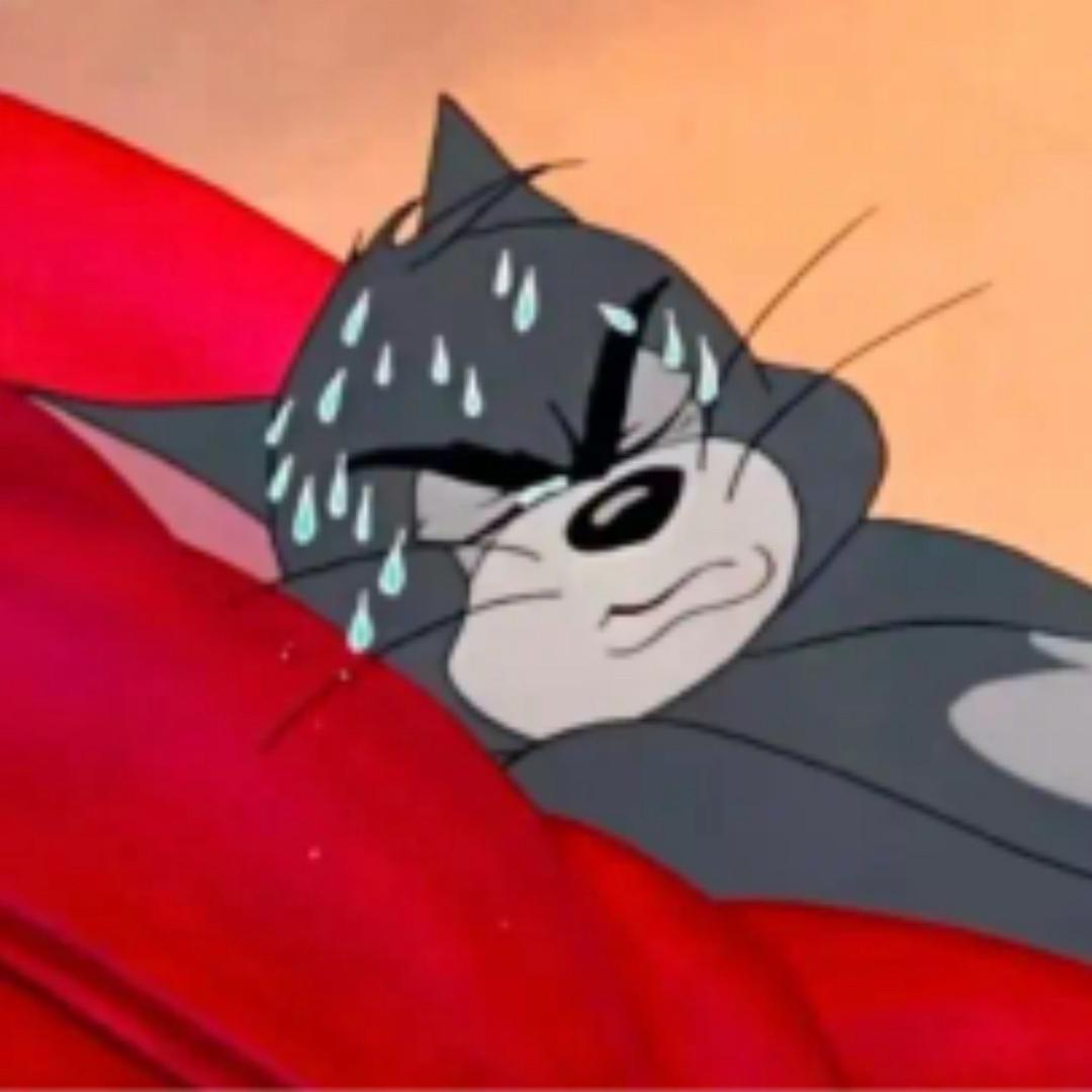 朱唇玉面面如冠玉玉树临风风流倜傥的小短腿