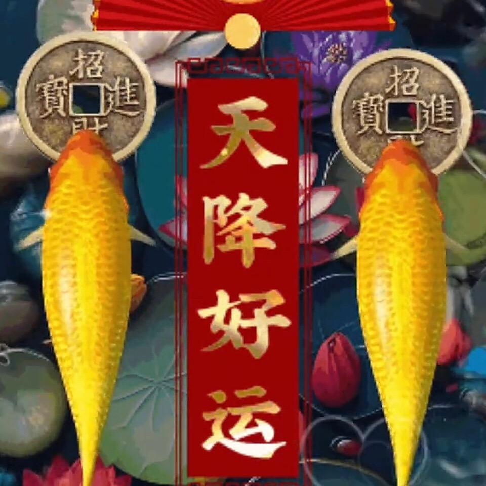 岁月
