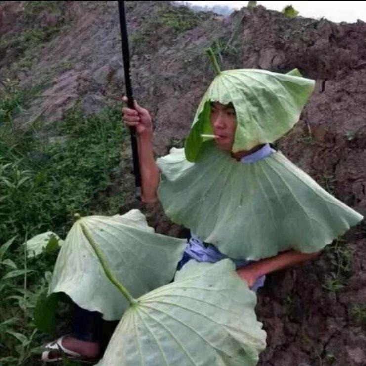 老黑，