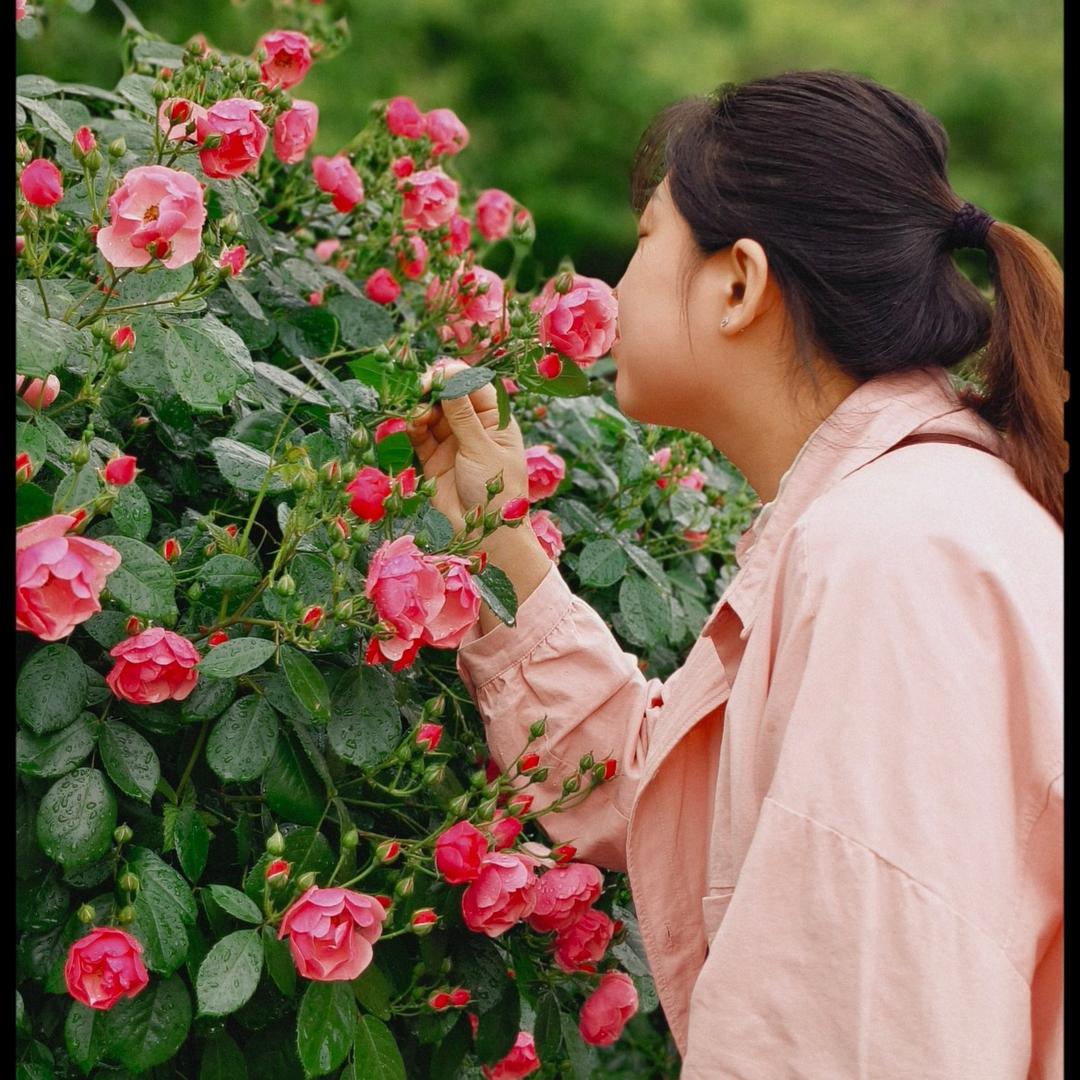 劉某某💋