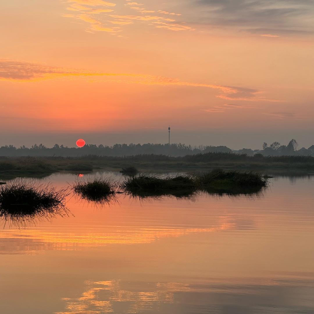 吃肉肉的小猴子