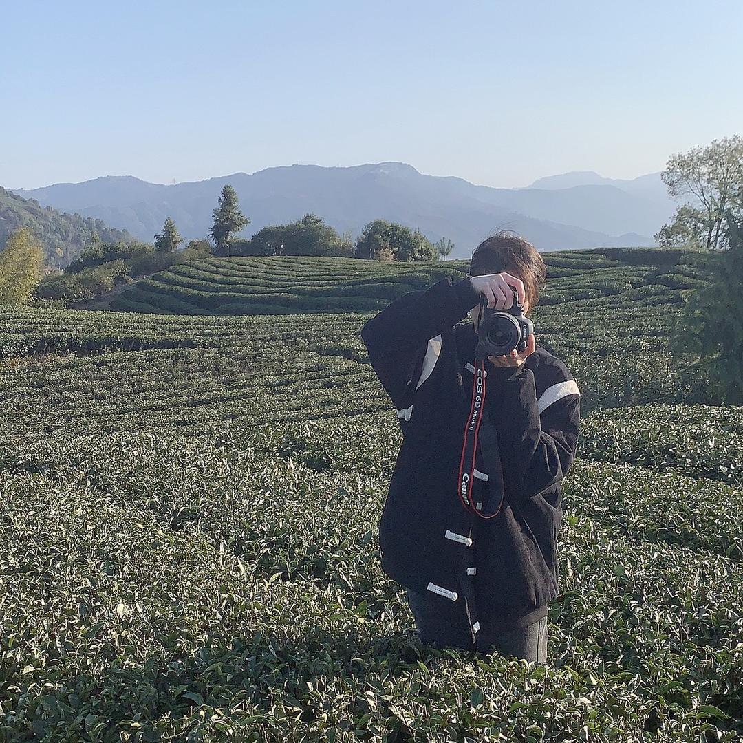 福鼎东洋茶业倩倩