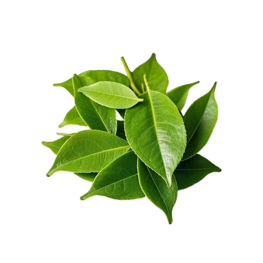 幸福茶庄——义安