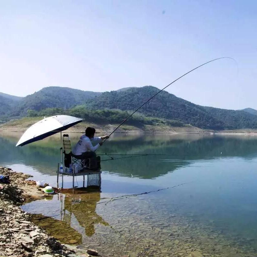 天天爱钓鱼🎣