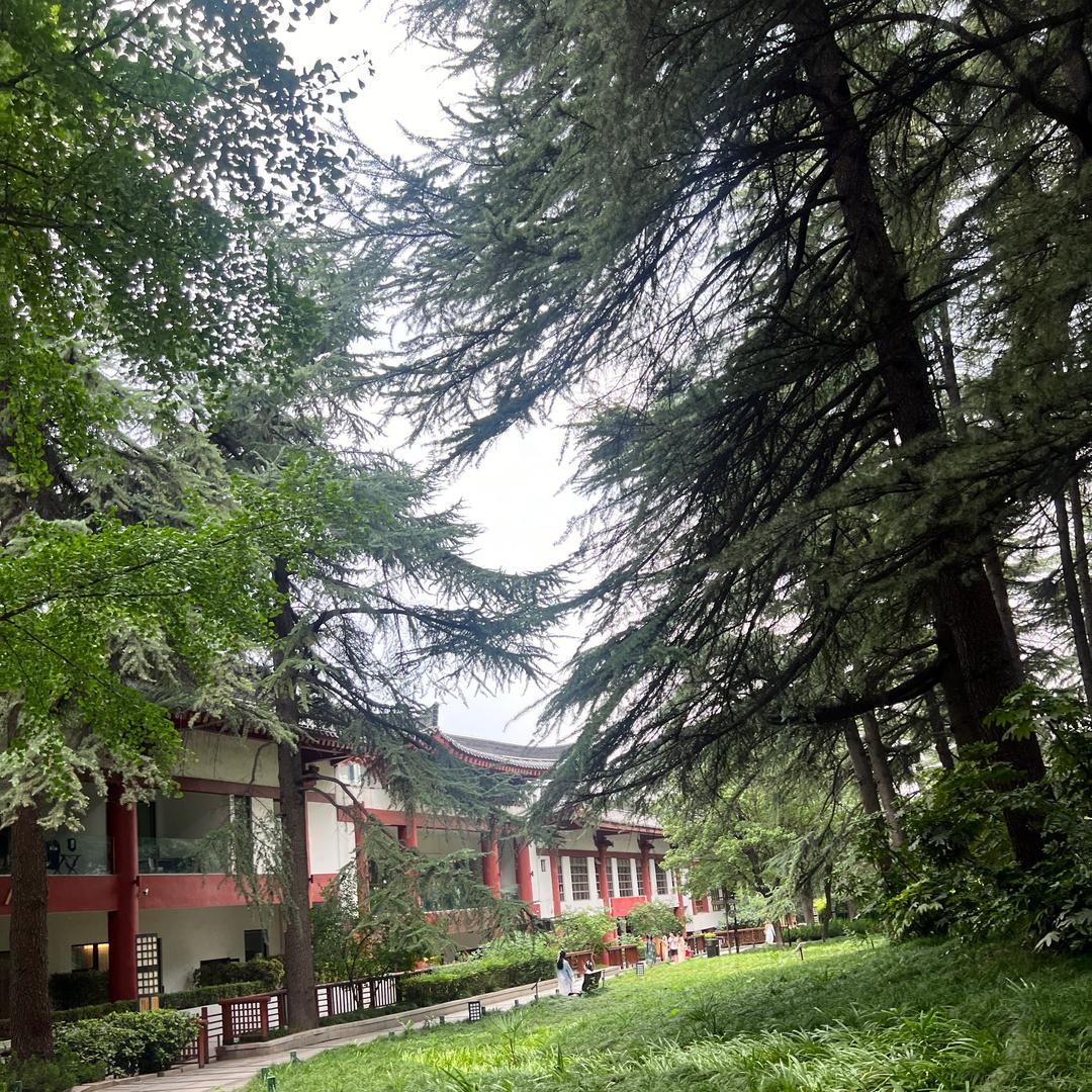 @ 家里还有一亩地