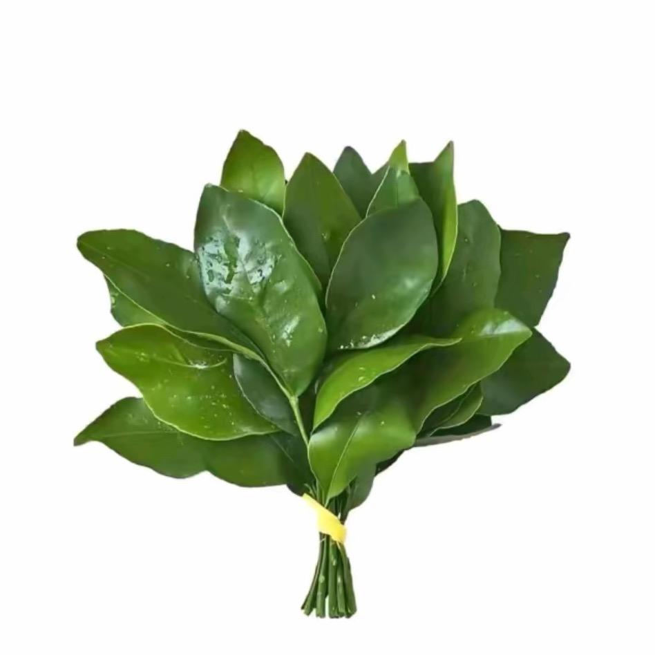 禾安
