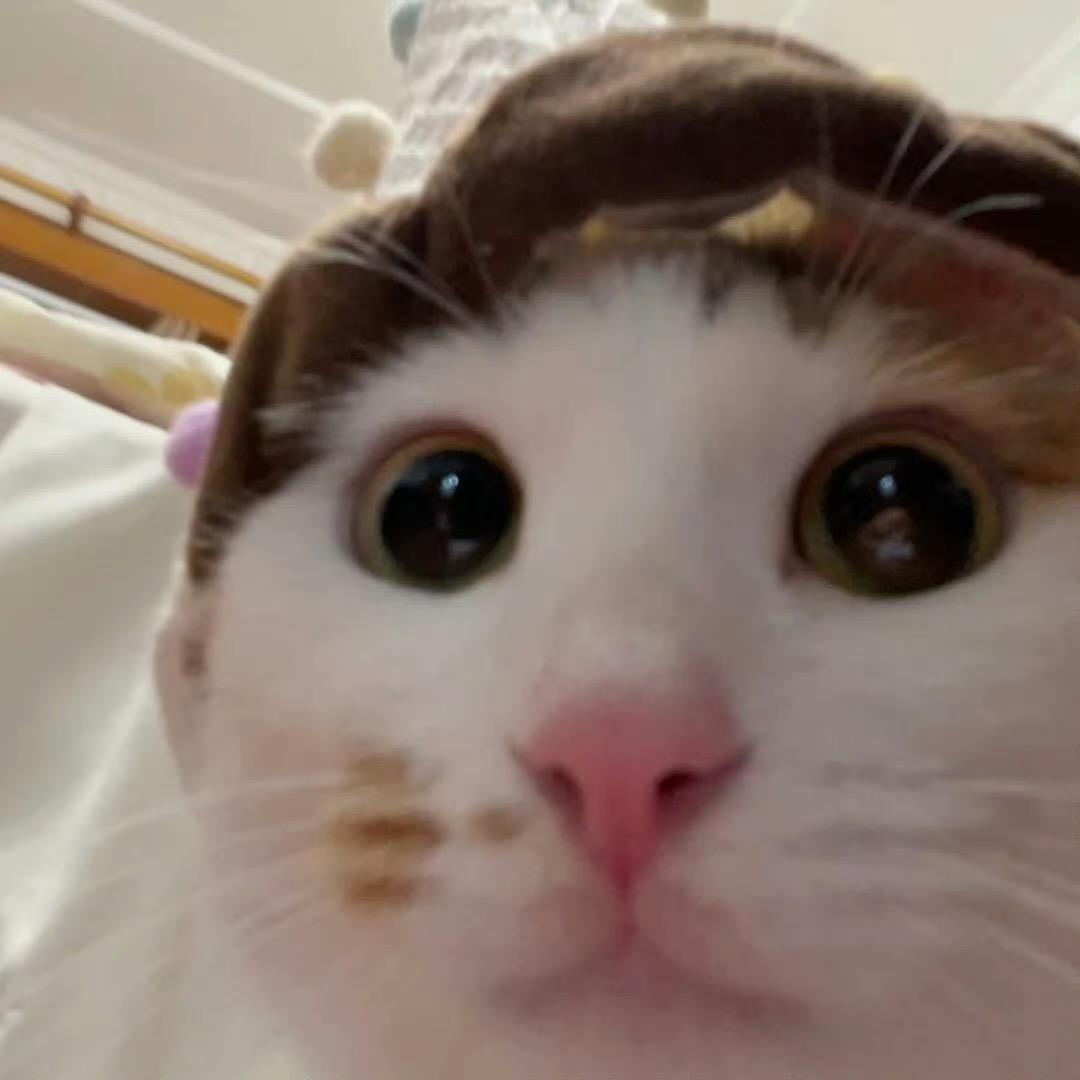 睡着了也困