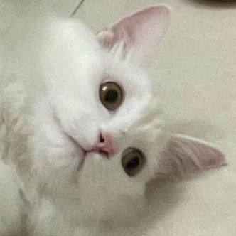 维C动物园@抖音