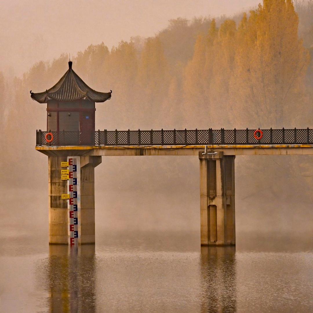 小虫