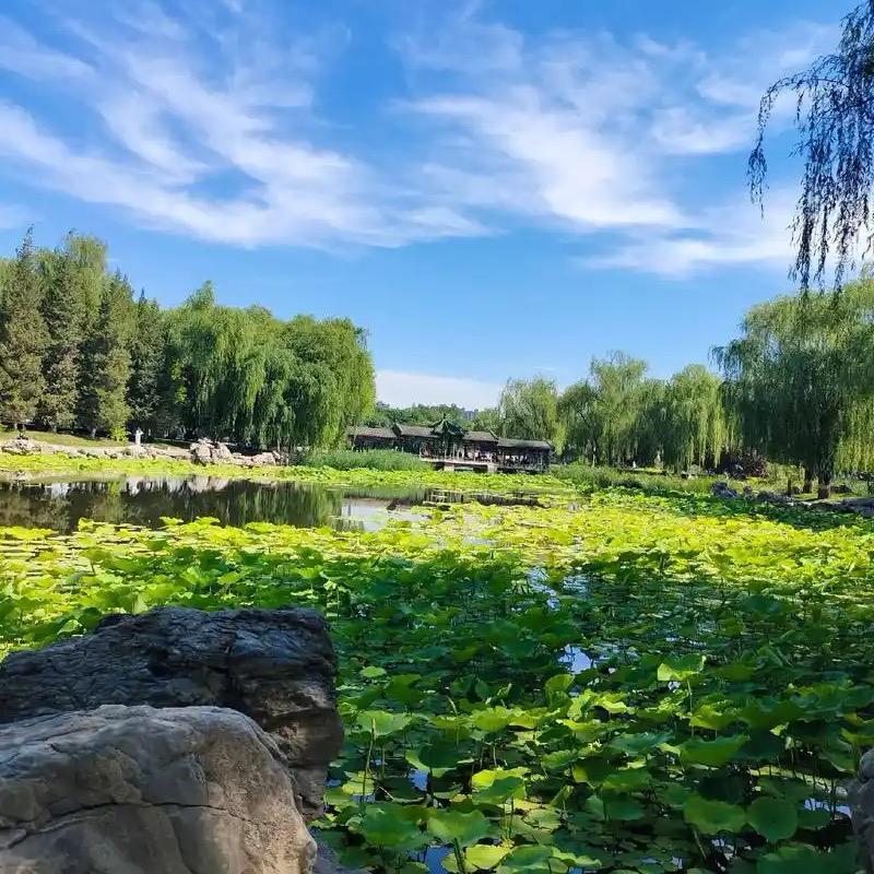 【姐妹可劲造】