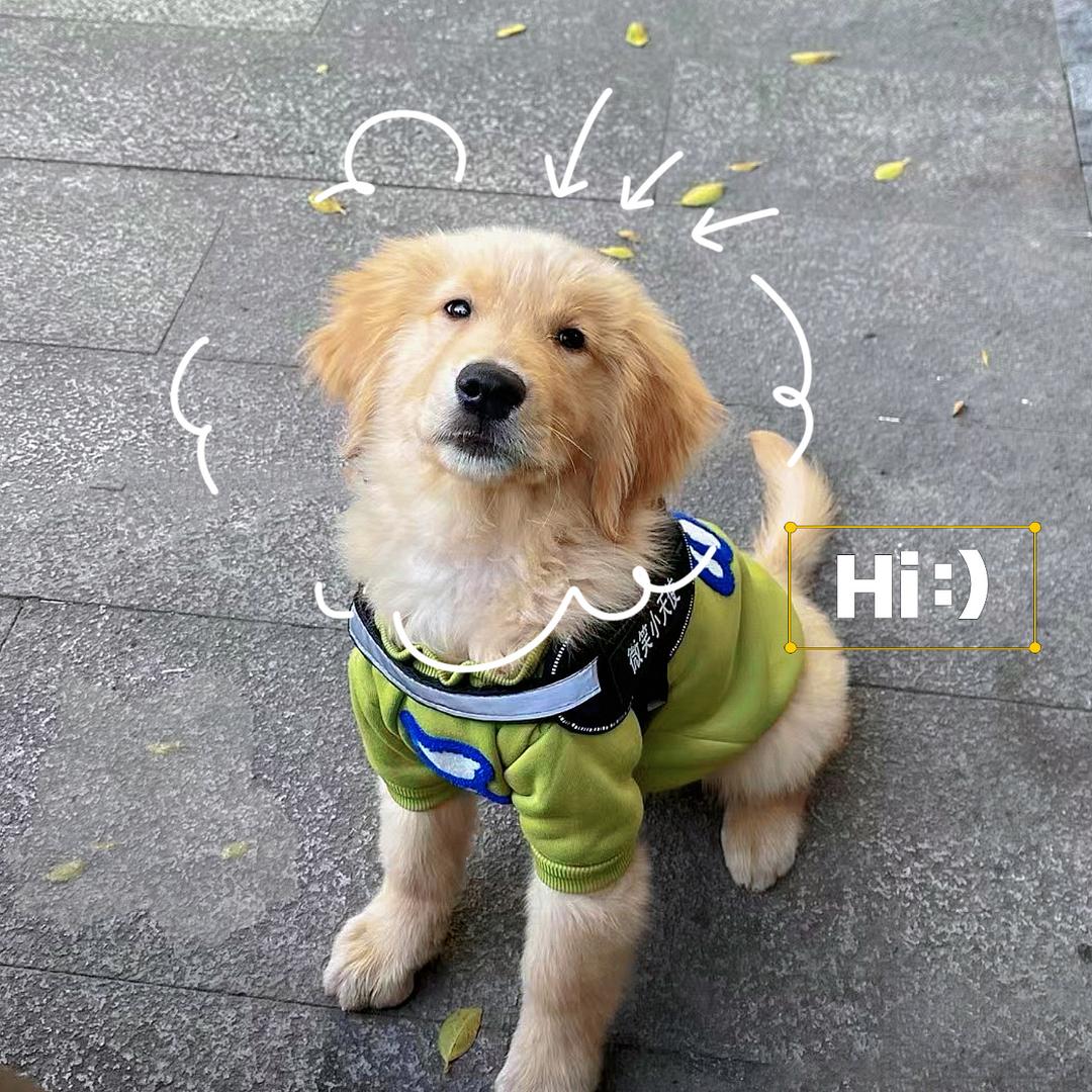 鱼骨