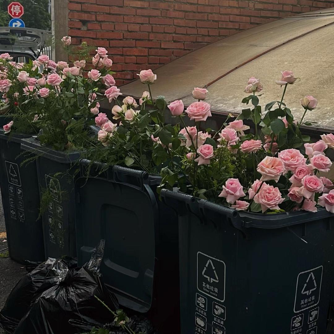 环卫垃圾桶🚮源头厂家