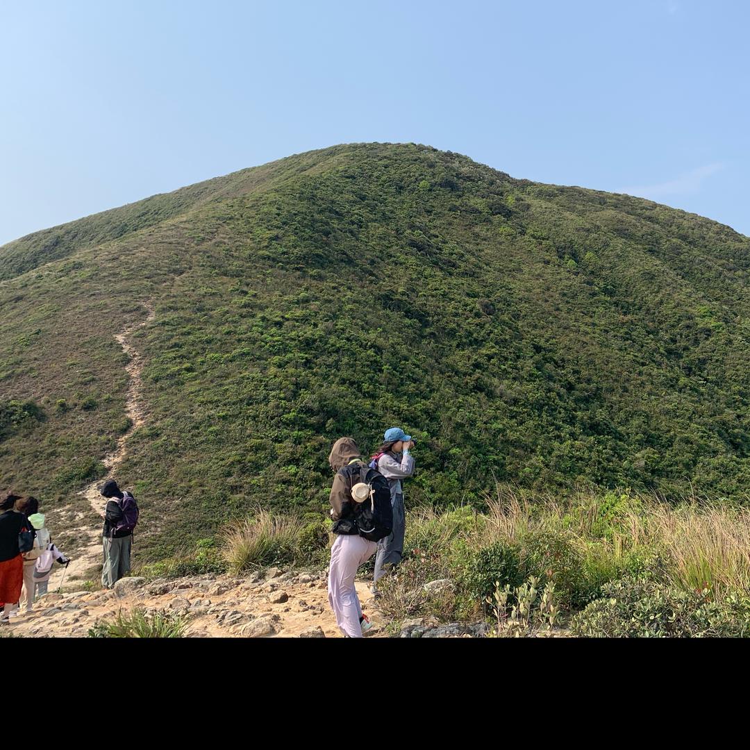 @King😊 财税顾问