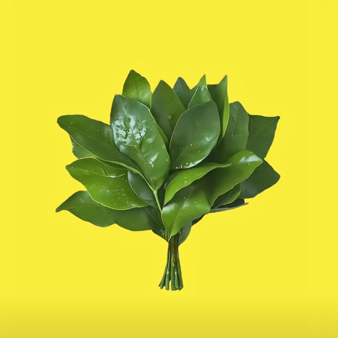 拒绝.