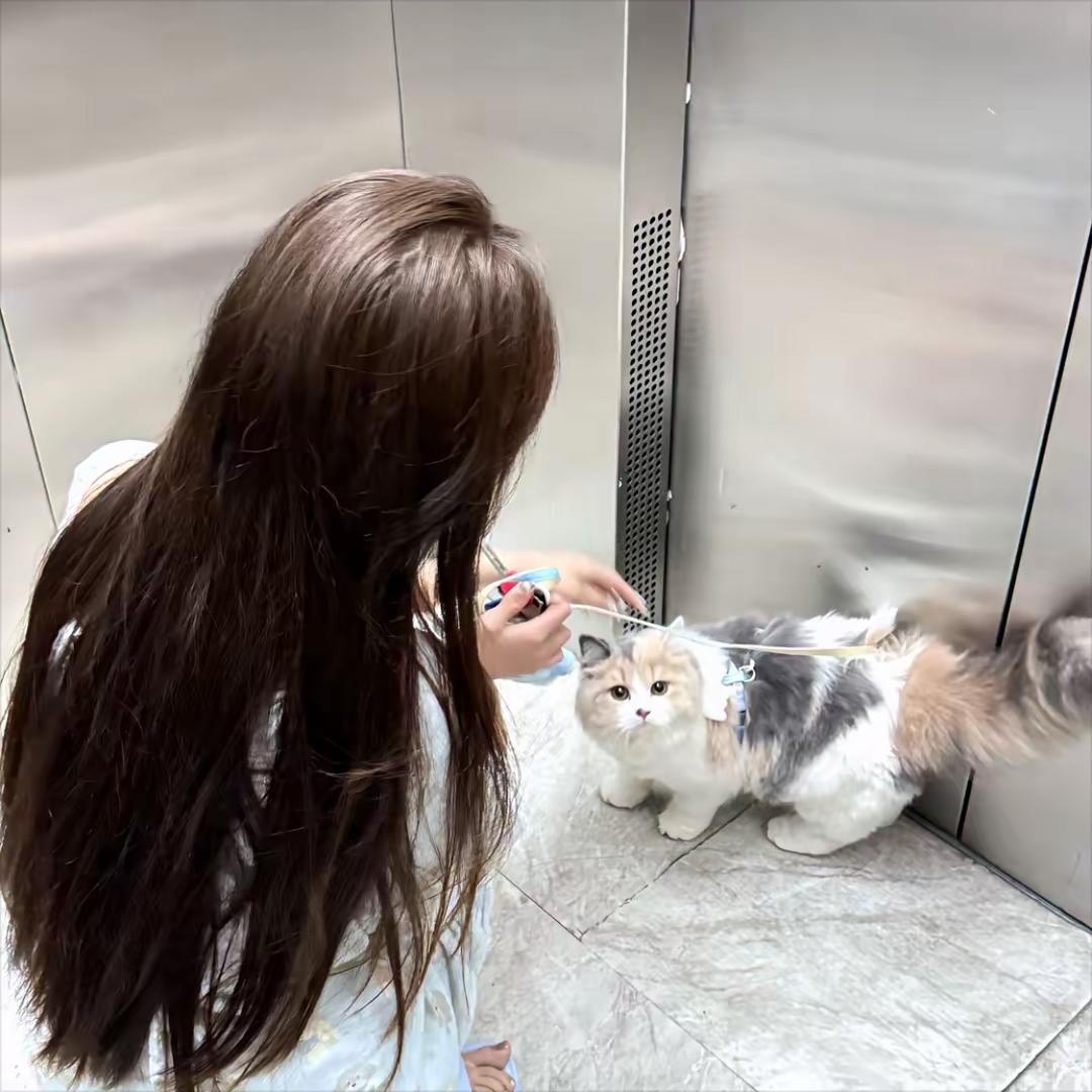欣婷