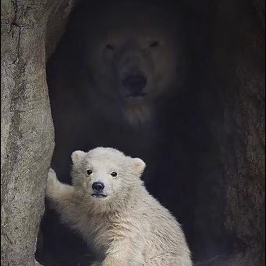 琦说