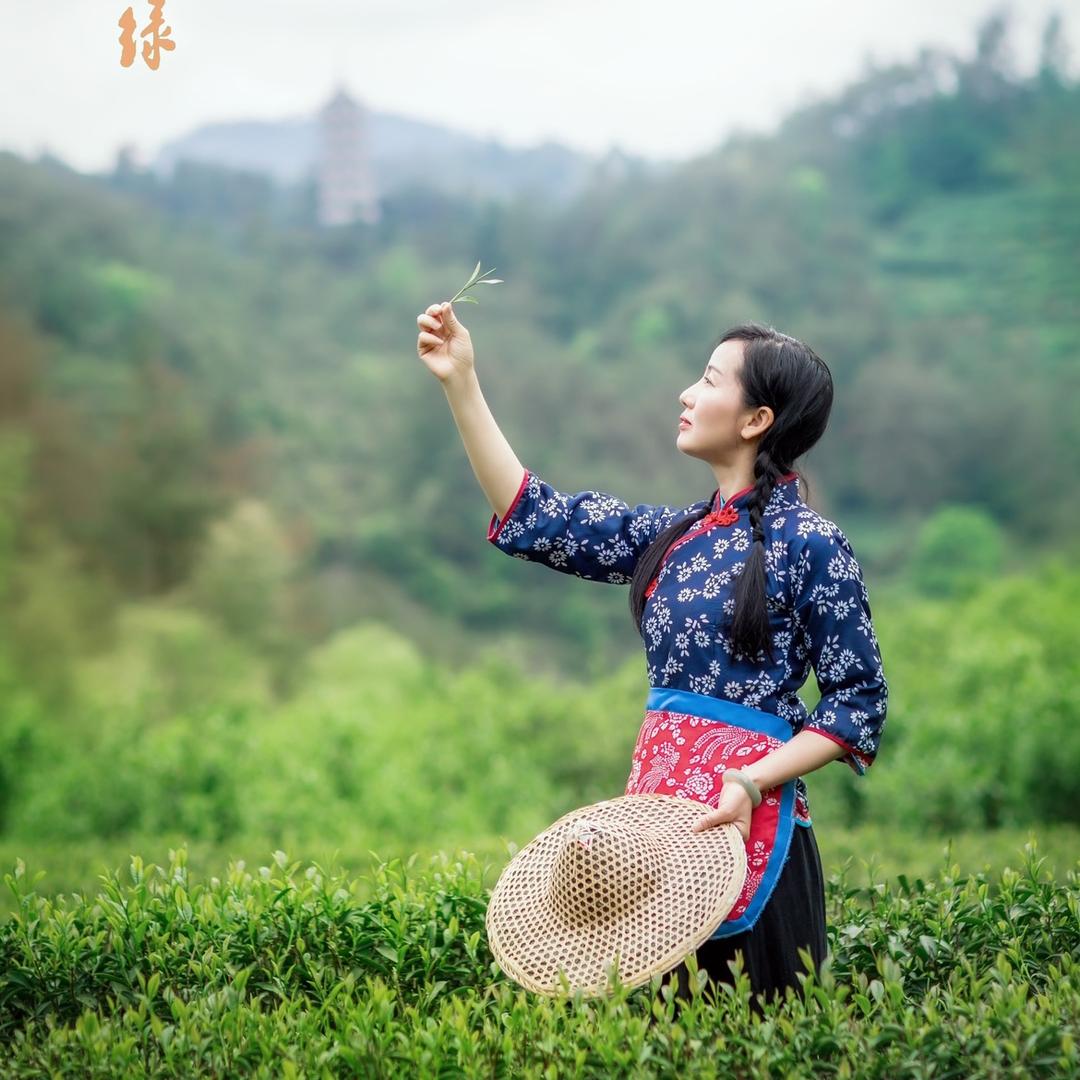 武夷山市青狮岩茶业有限公司