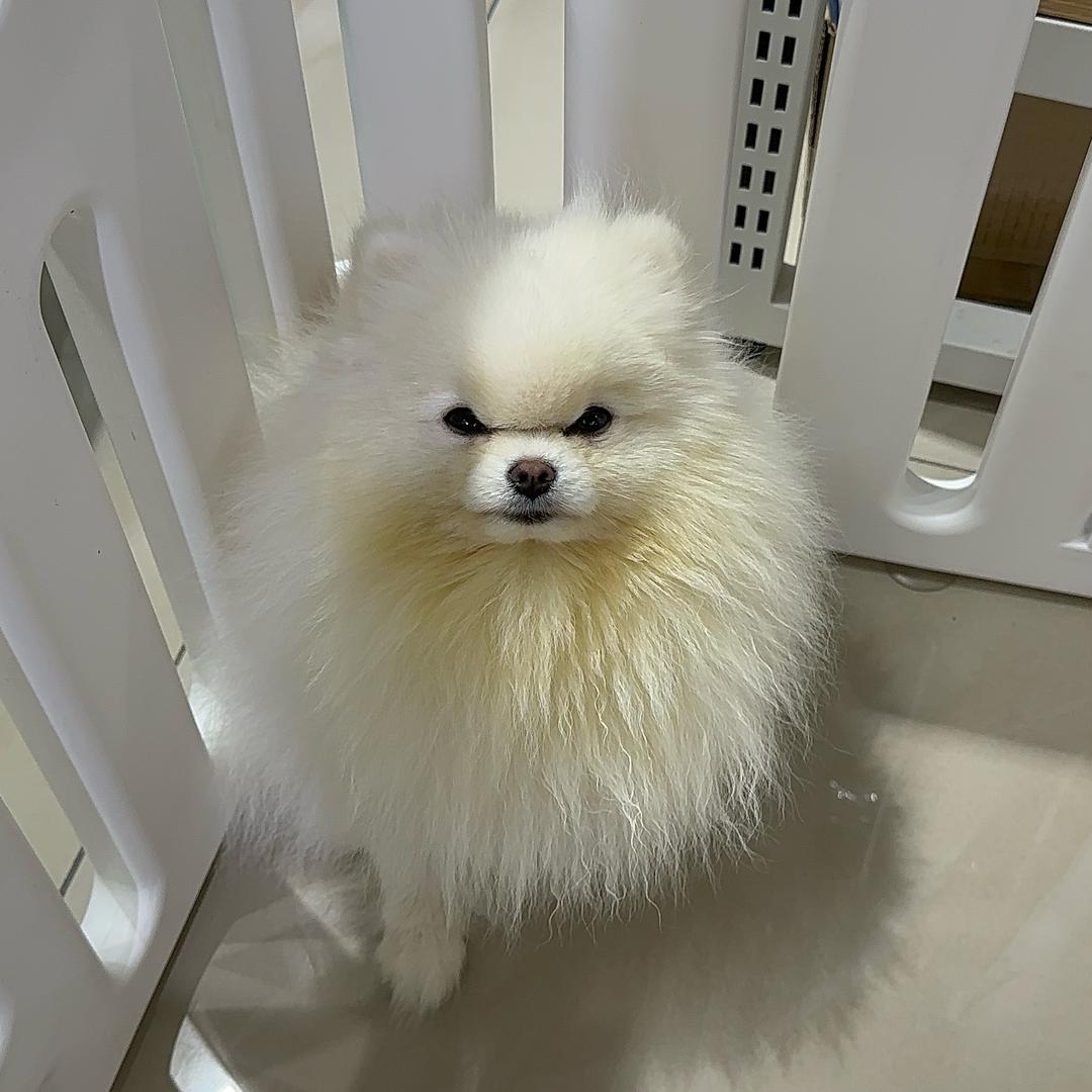 錡