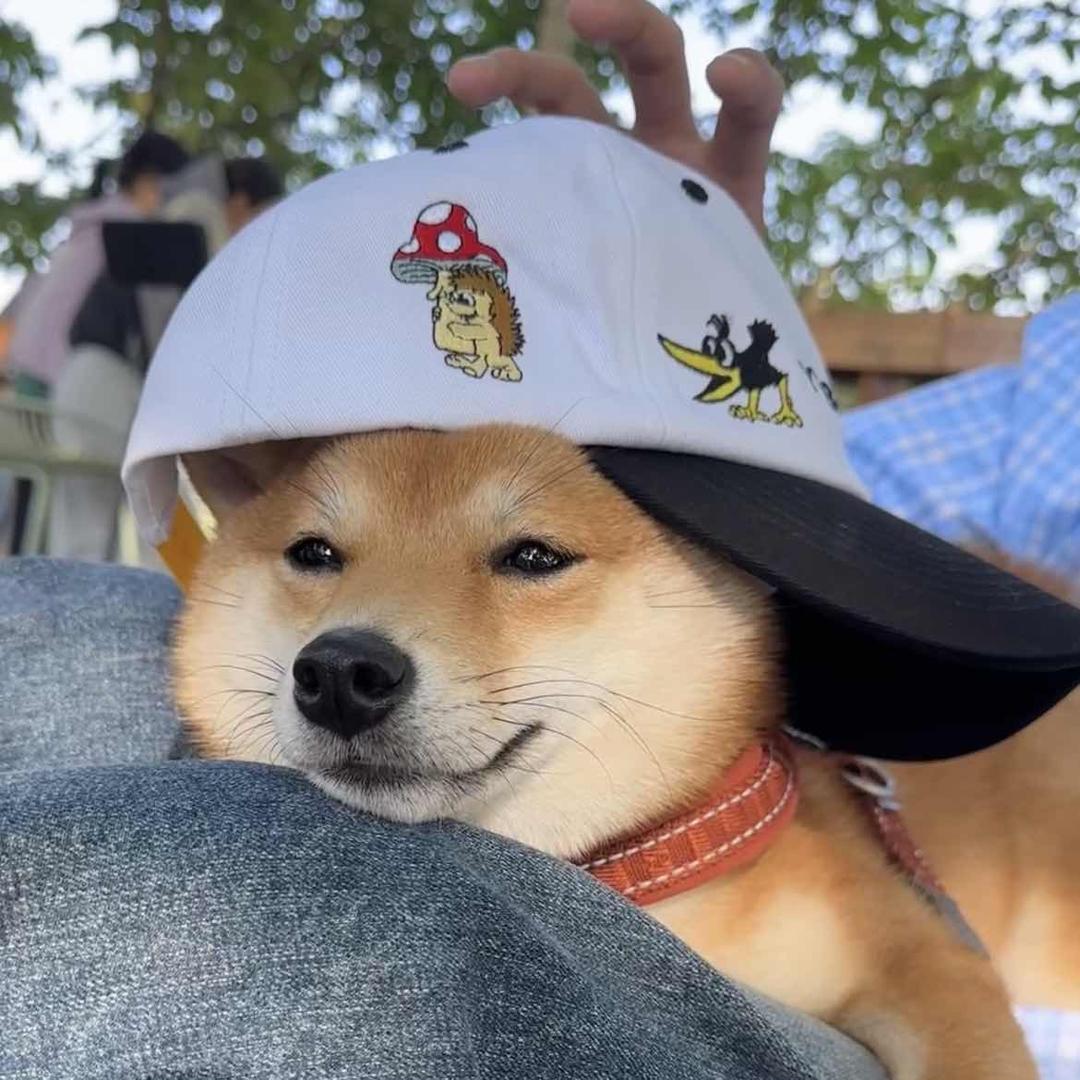 当代毕大师🕺🏼